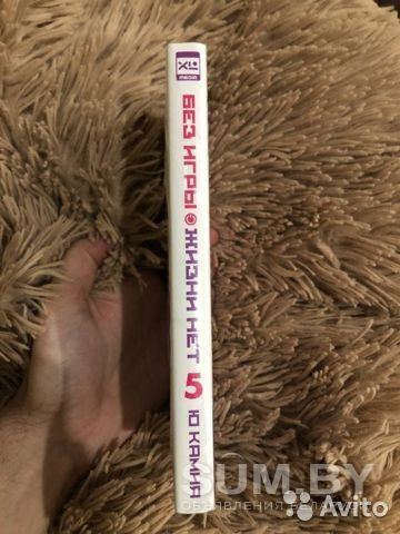 Куплю книгу ''Без игры жизни нет. Том 5'' (ранобэ) объявление Куплю уменьшенное изображение 