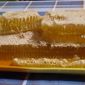 Мед с собственной пасеки объявление Продам уменьшенное изображение 2