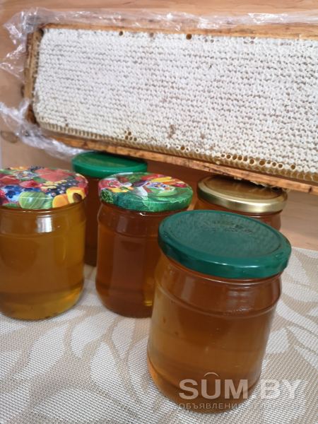 Мед с собственной пасеки объявление Продам уменьшенное изображение 