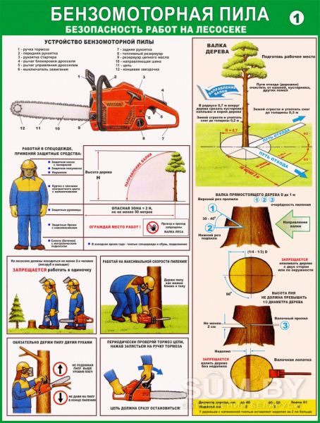 Плакаты Лесосечные работы (комплект 9 плакатов) объявление Услуга уменьшенное изображение 