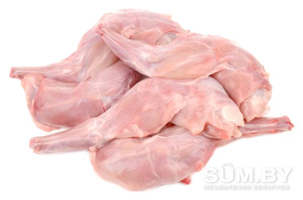 Мясо кролика объявление Продам уменьшенное изображение 
