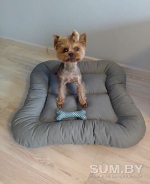 Матрасиком лежак для собак объявление Продам уменьшенное изображение 