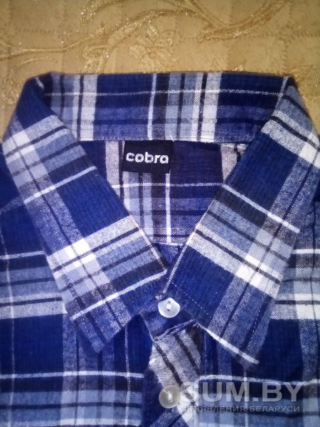 Рубашка Cobra 100% хлопок Германия объявление Продам уменьшенное изображение 