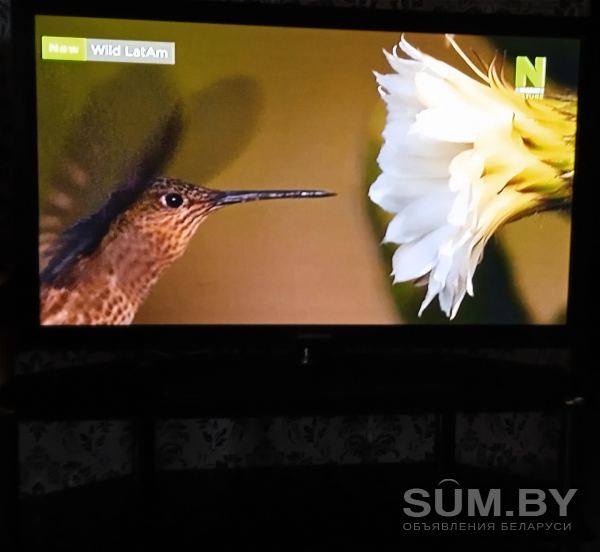 Продается телевизор Samsung 50 объявление Продам уменьшенное изображение 