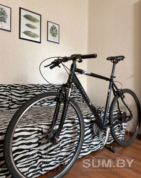 Велосипед Pegasus объявление Продам уменьшенное изображение 