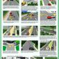 Плакаты для автошколы Правила дорожного движения объявление Услуга уменьшенное изображение 1