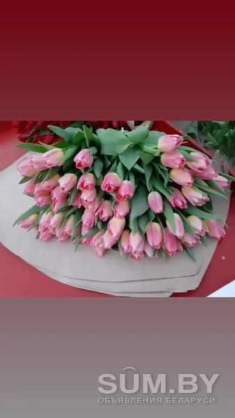 Тюльпаны в Минске объявление Продам уменьшенное изображение 