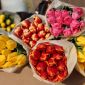 Тюльпаны выгодно оптом и в розницу в Минске объявление Продам уменьшенное изображение 2