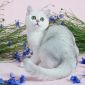 Клубные британские котята серебристые шиншиллы! объявление Продам уменьшенное изображение 6