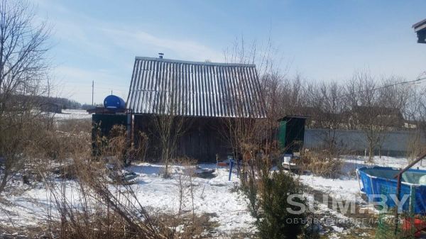 Продам дом ( дача) в агрогородке Романовичи в 10 км от Могилева Чаусское направление объявление Продам уменьшенное изображение 