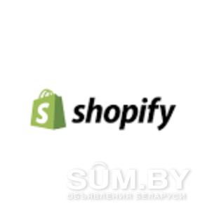 Консультация по созданию интернет-магазина на зарубежный рынок. Дропшиппинг с нуля. Shopify